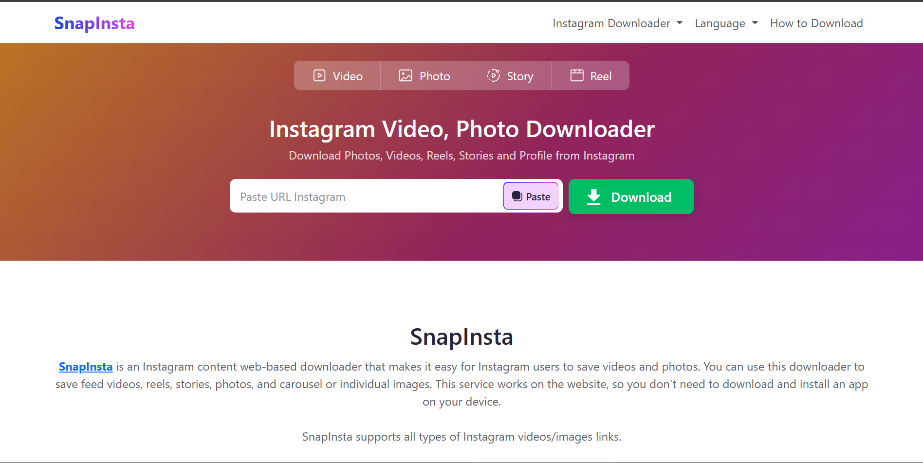 SnapInsta Cara Download Video IG Tanpa Watermark